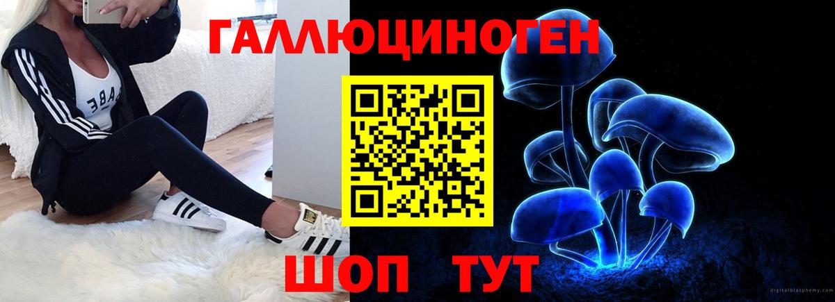Псилоцибиновые грибы Psilocybine cubensis Удомля